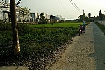 Đà Nẵng yêu cầu xử lý nghiêm việc tung tin bịa đặt trên mạng