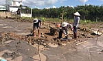 Đất nền đang bị thổi giá?