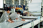 Còn nhiều quy định tương tự 'mất bằng lái phải thi lại'