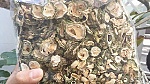 Tiền mất tật mang với 