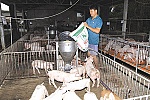 Tư duy làm luật, nhìn từ thông tư 