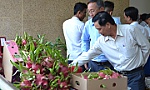 Siết truy xuất nguồn gốc trái cây