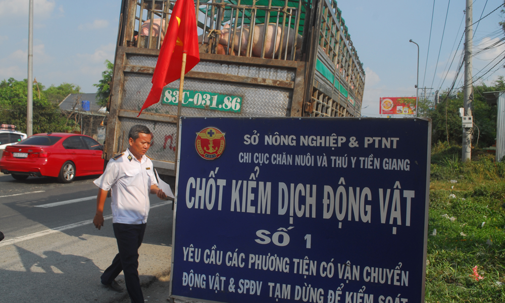 Thực hiện các bước kiểm sót nguồn heo trên xe..