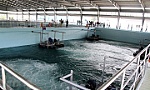 Tái sử dụng nước thải - giải pháp hữu hiệu bảo vệ môi trường
