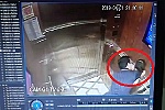 Cựu Phó viện trưởng VKS thừa nhận ôm và hôn ngay từ đầu