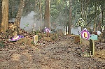 Lý Hải 