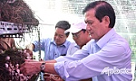 Trồng nấm từ bã thải lá sả sau chiết xuất tinh dầu