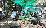 Triệt phá trường gà lớn, bắt giữ 31 đối tượng