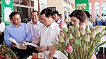 ĐBSCL: Hơn 230.000 người tham gia HTX Nông nghiệp