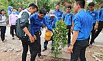 Sôi nổi chương trình 