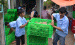 BÀI 2: Bài toán lợi ích