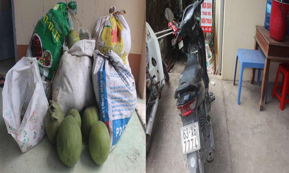 Tang vật bị thu giữ.