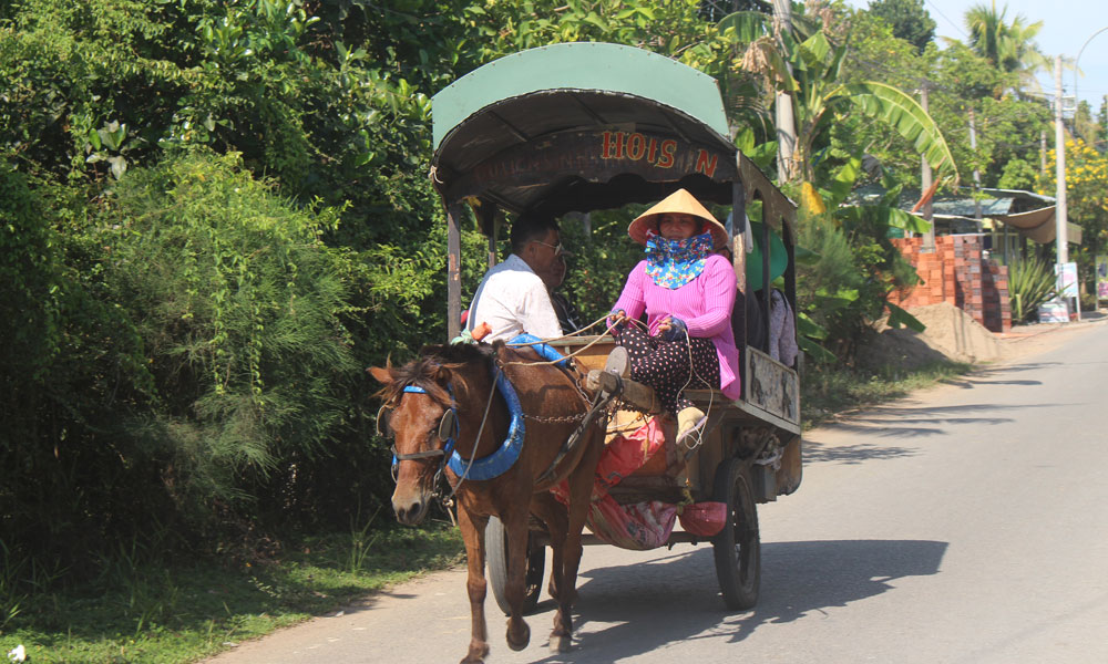 Du khách trải nghiệm đi xe ngựa.