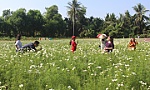 Nhìn lại kinh tế du lịch Tiền Giang