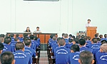Cần những giải pháp quyết liệt hơn