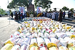 Thả 2 tấn cá tái tạo nguồn lợi thủy sản