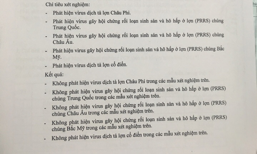Chi cục Thú y vùng VI kết luận không phát hiện dịch tả heo châu Phi.