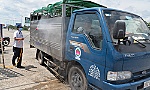 Dịch tả heo châu Phi: Kiểm soát nghiêm ngặt từ mọi ngả