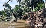 Bờ Nam sông Rạch Gầm bị sạt lở nghiêm trọng