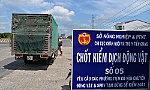 Tăng cường thực hiện việc tiêu độc, sát trùng khu vực chăn nuôi