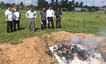 Huyện Gò Công Tây: Kiểm tra công tác phòng, chống dịch tả heo châu phi