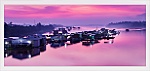 Chút chấm phá cùng với sông Tiền