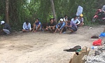 Triệt phá tụ điểm đá gà thu gần 90 triệu đồng