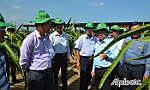 Chuyển đổi sản xuất thích ứng biến đổi khí hậu