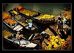 Bến quê vào xuân