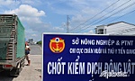 Phải lưu thông trên QL.50 khi vận chuyển động vật về phía Đông