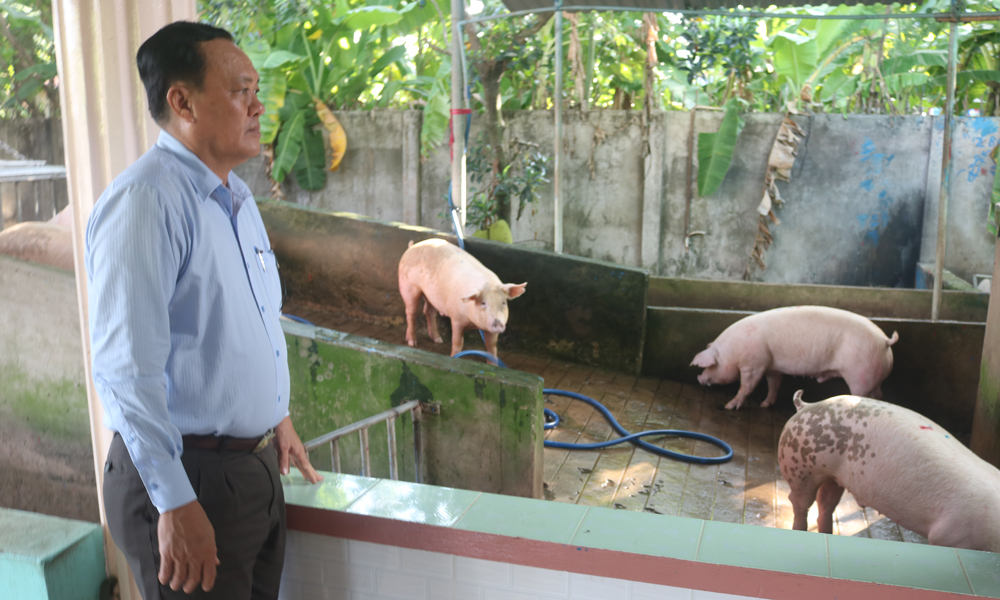 Đồng chí Lê Văn Nghĩa kiểm tra điểm trung chuyển heo đi TP. Hồ Chí Minh của hộ ông Trương Ngọc Hậu.