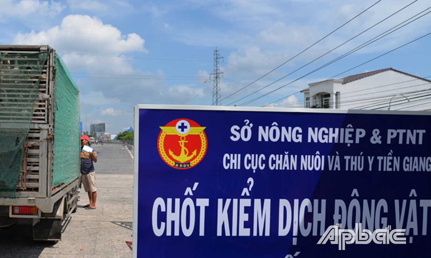 Ảnh minh họa.
