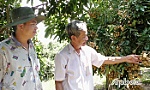 Bước chuyển mình trên các xã cù lao