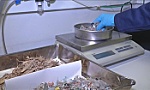 Biến rác thải thành nhiên liệu máy bay