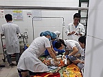 Cháu bé 22 tháng tuổi bị chó cắn tử vong