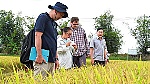 Xuất khẩu gạo: Tìm thị trường mới