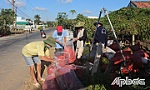 Chôn trái phép 2,4 tấn thuốc bảo vệ thực vật: Xử phạt 255 triệu đồng