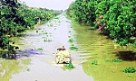 Du lịch nông nghiệp cuối dòng Mê Công