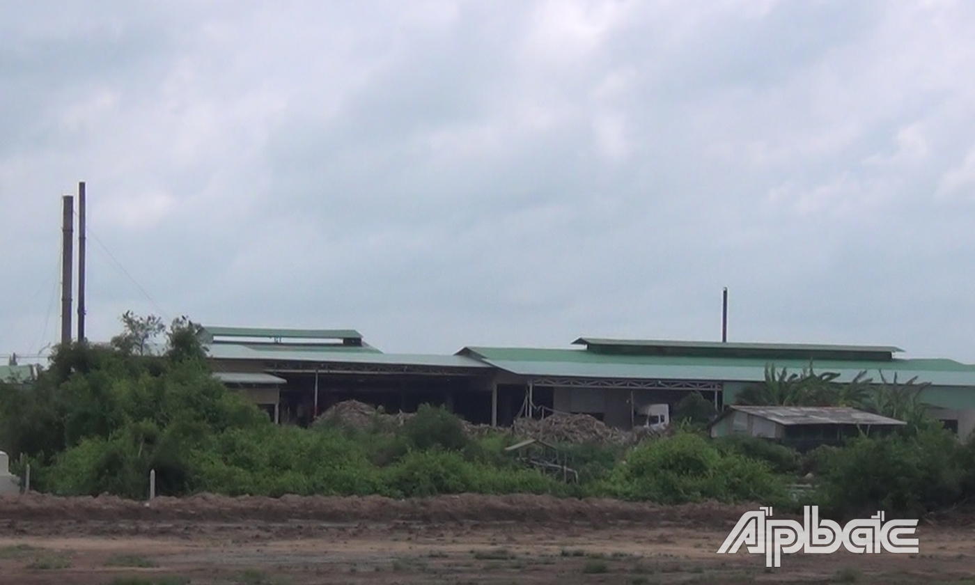 Người dân phản ánh mùi hôi trong quá trình hoạt động của Công ty TNHH MTV Châu Ngọc ảnh hưởng đến đời sống, sinh hoạt.