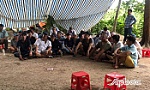 Tiền Giang: Triệt phá trường gà, bắt 39 đối tượng