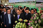ĐBSCL được đầu tư hơn 22 tỷ USD từ nguồn vốn FDI