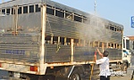 Cần bám cơ sở để chỉ đạo phòng, chống dịch hiệu quả