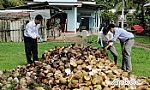 Dịch bệnh sốt xuất huyết có nguy cơ bùng phát