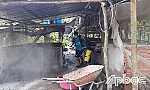 Các huyện, thị phía đông: Tập trung dập dịch, ngăn chặn lây lan
