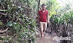 Vì sao án chậm thi hành?