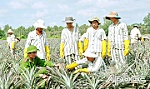 Khát vọng hoàn lương