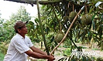 Nhiều mô hình hỗ trợ nông dân