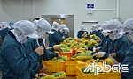 Nông nghiệp Tiền Giang: Những chuyển hướng tích cực