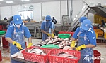 Thúc đẩy hộ kinh doanh chuyển đổi lên doanh nghiệp