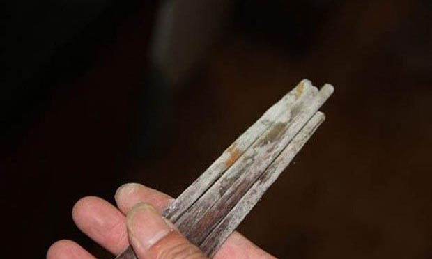 Việc để trong bếp một thời gian dài cũng tạo cơ hội cho vi khuẩn và nấm mốc.